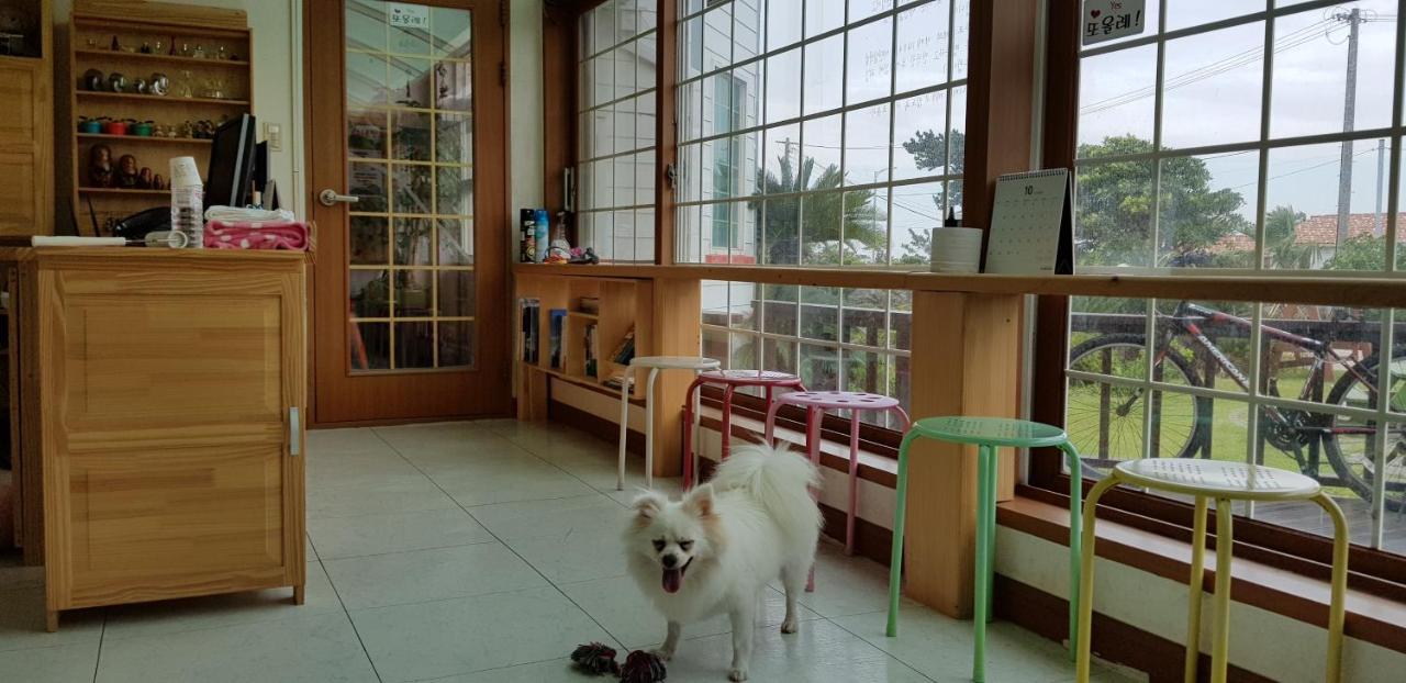 Jeju Again Olle Pension Eksteriør bilde